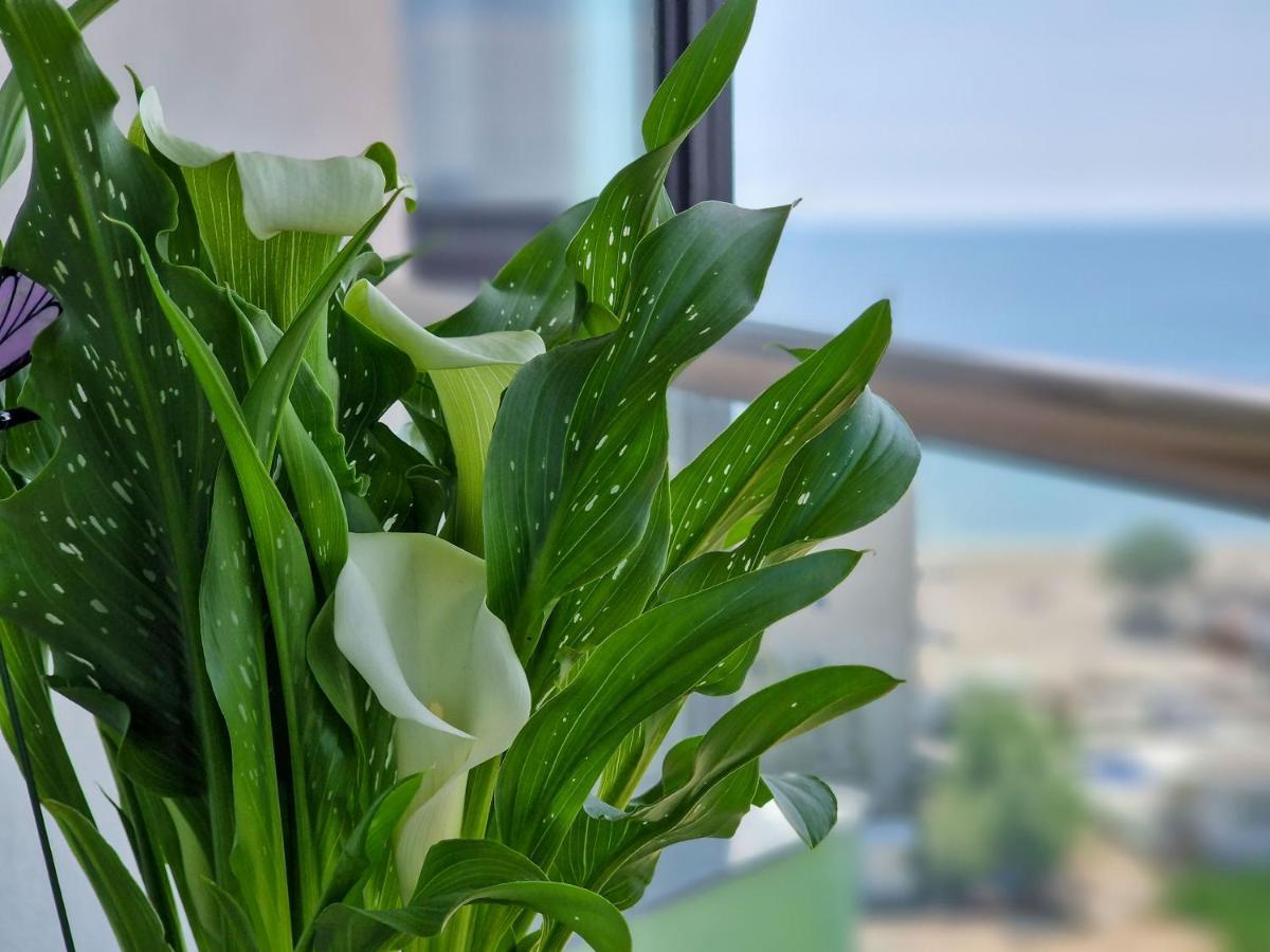 Panoramic Aparthotel Pool & Spa Mamaia Nord Navodari Ngoại thất bức ảnh